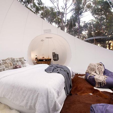 Skyview Bubbletent Eganstown المظهر الخارجي الصورة