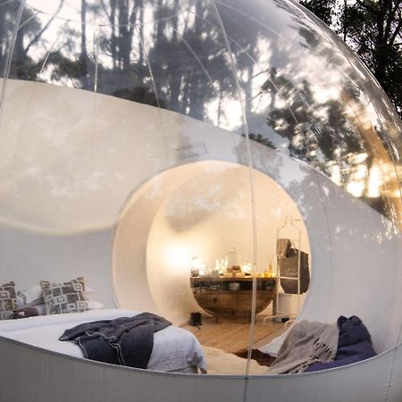 Skyview Bubbletent Eganstown المظهر الخارجي الصورة