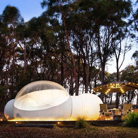 Skyview Bubbletent Eganstown المظهر الخارجي الصورة