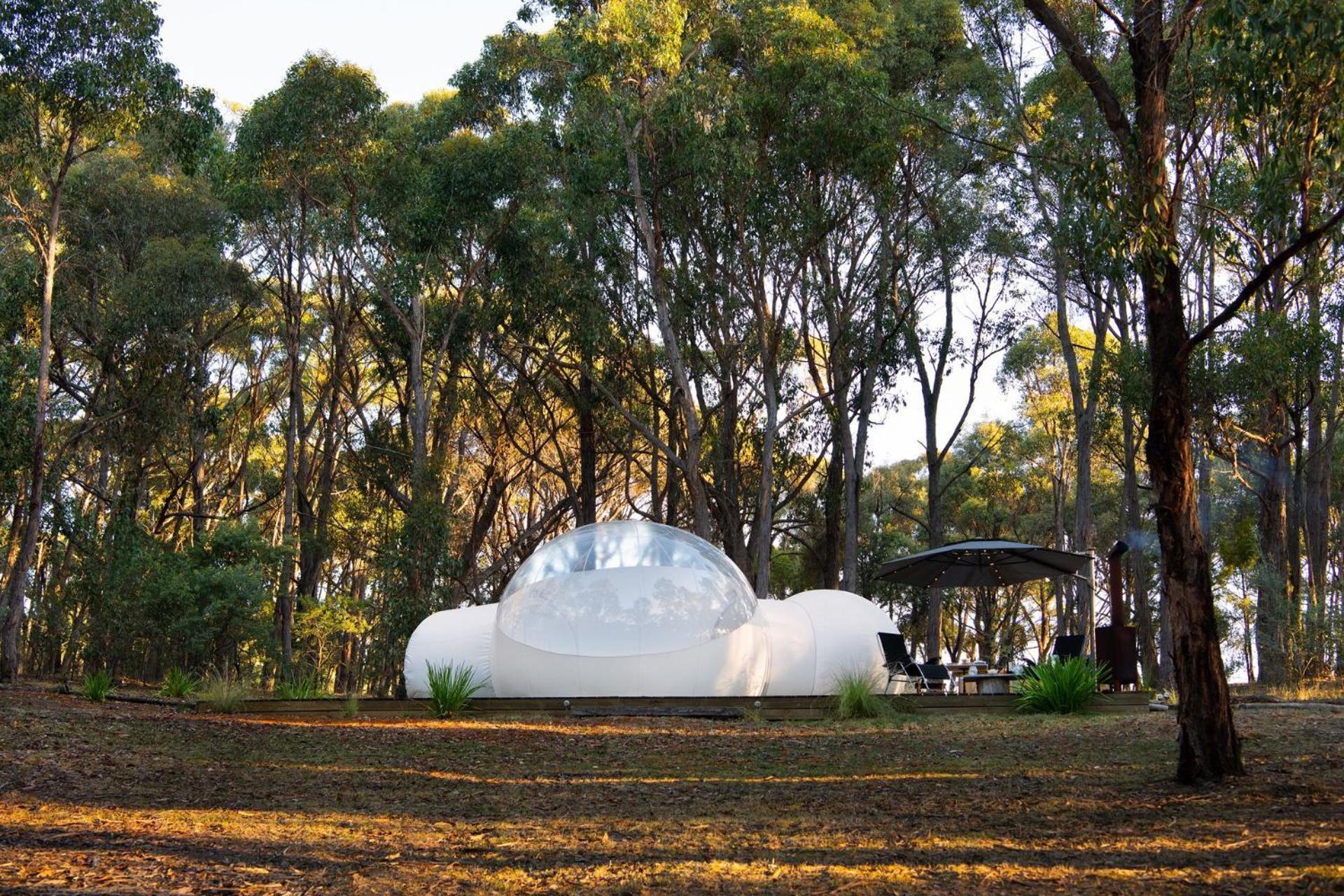 Skyview Bubbletent Eganstown المظهر الخارجي الصورة